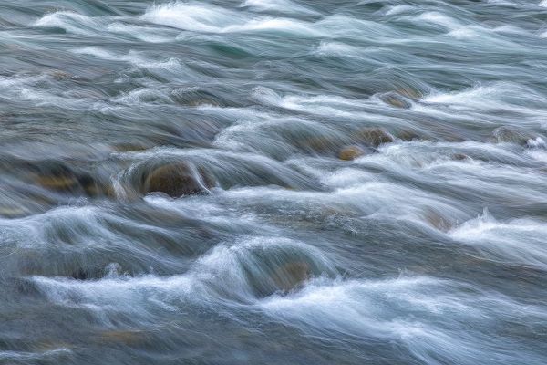 Jaynes Gallery 아티스트의 USA-Washington State-Olympic National Park Elwha River rapids scenic작품입니다.